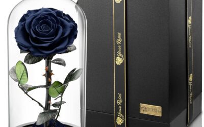 Rose im Glas – Zeitlose Geste der Verbundenheit